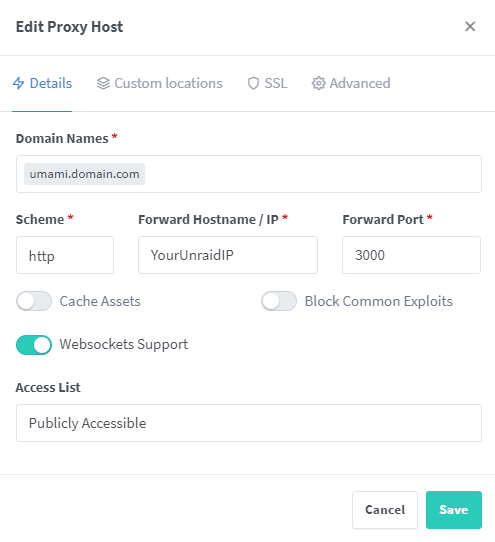 Nginx proxy host details tab setup for Umami